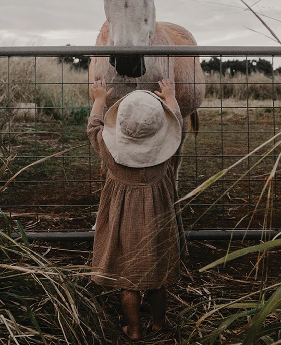 HAT THE SIMPLE FOLK OATMEAL