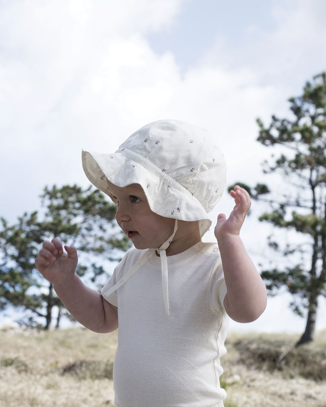 HAT SERENDIPITY ASTER